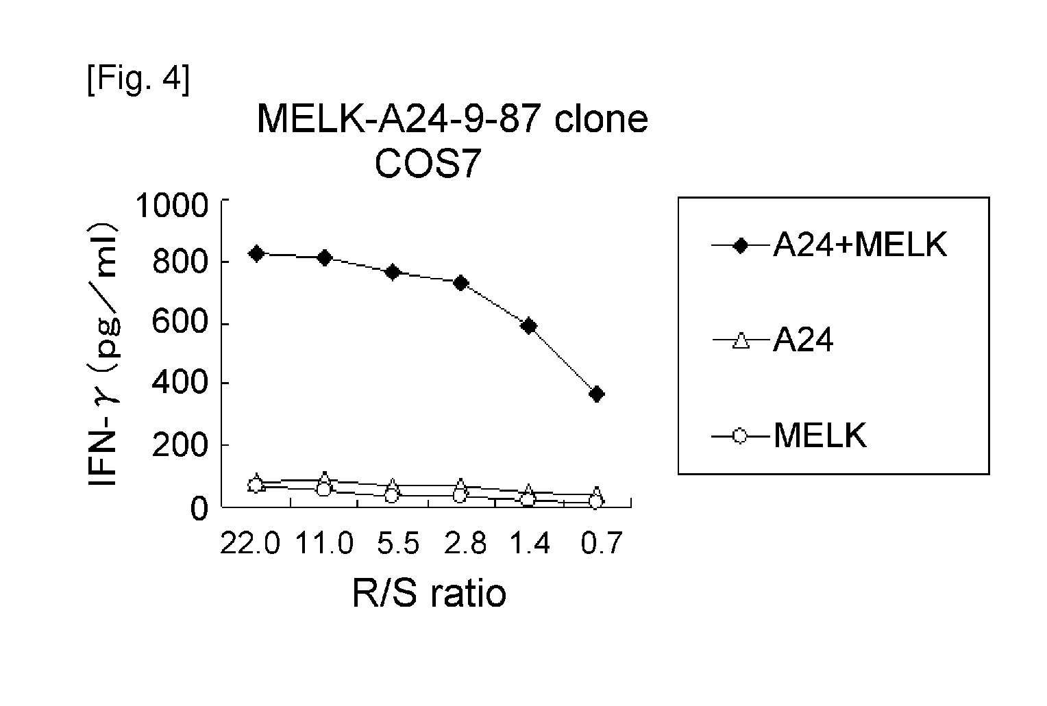 Modified melk peptides and vaccines containing the same