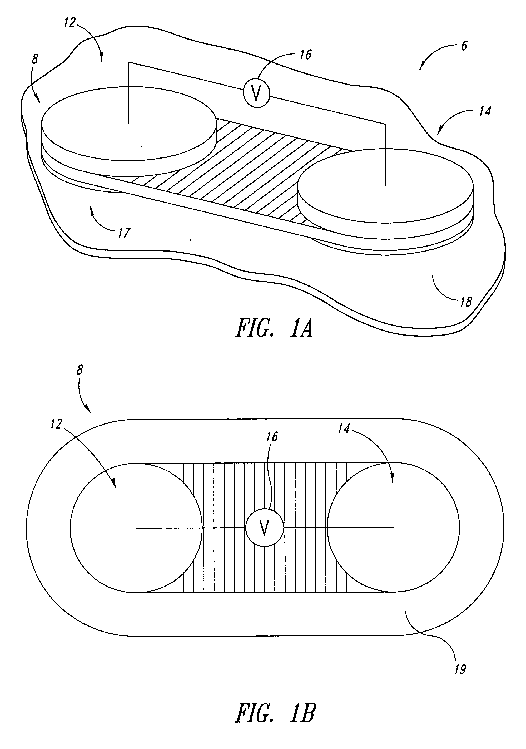 Iontophoresis apparatus and method for the diagnosis of tuberculosis