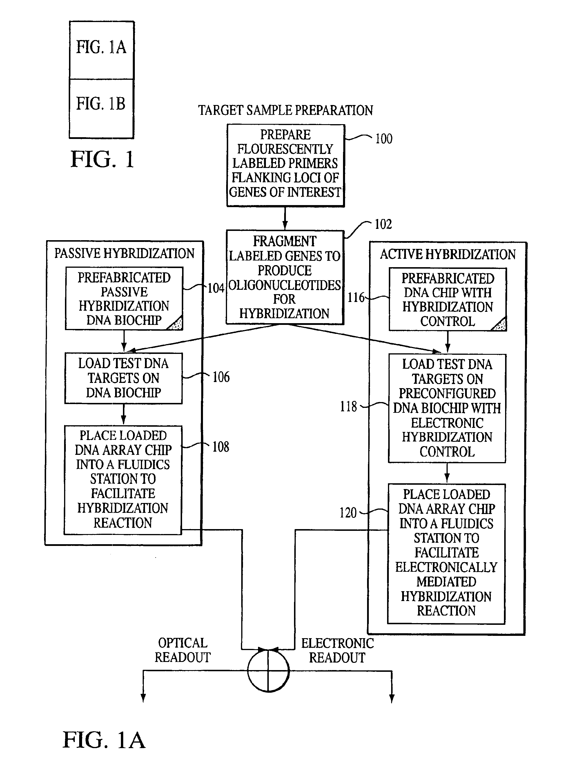 Technique for analyzing arrayed signals using quantum expressor functions