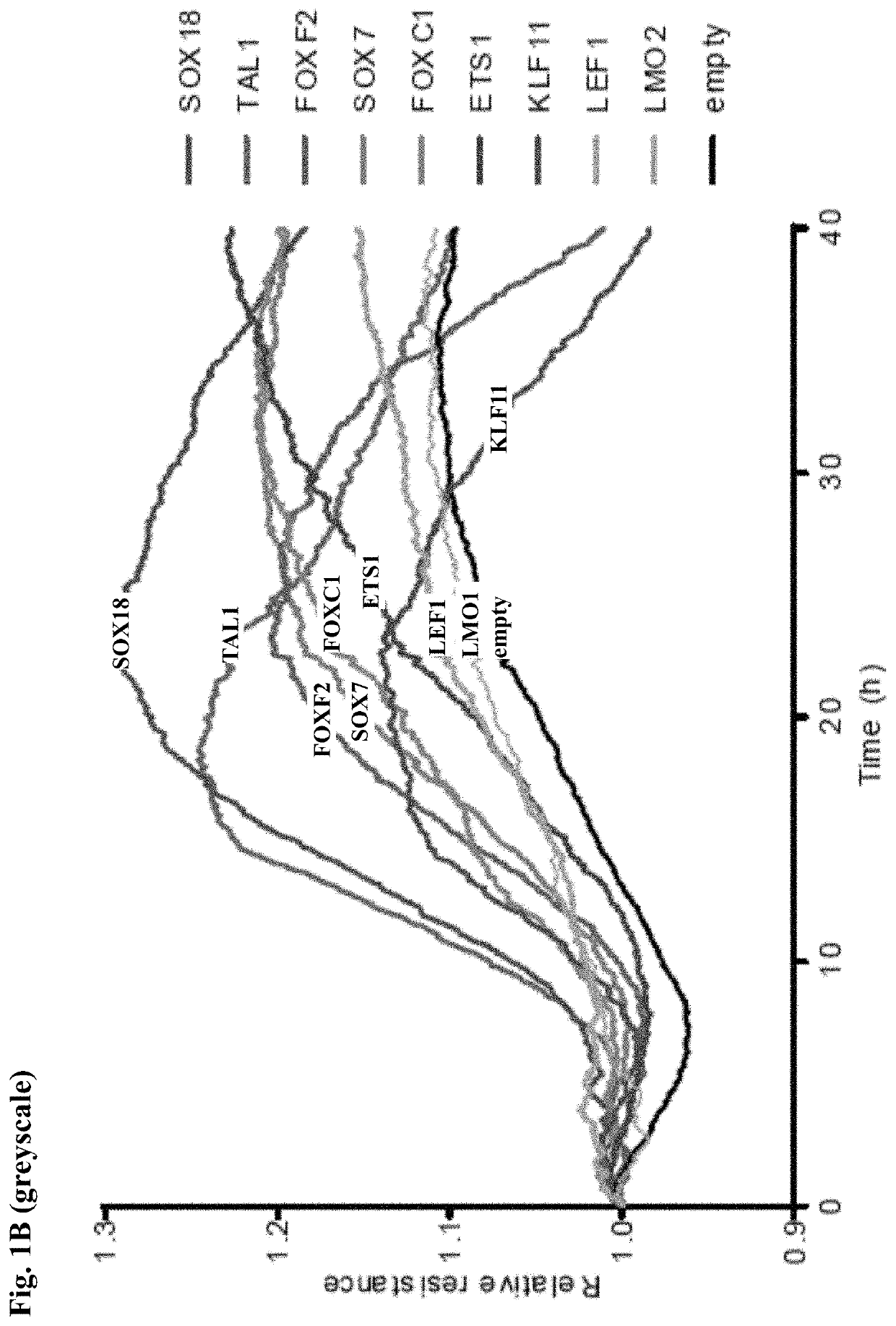 Synergistic transcription factors to induce high resistance transendothelial barrier