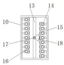 A rice seedling planting device for rice blast resistance identification