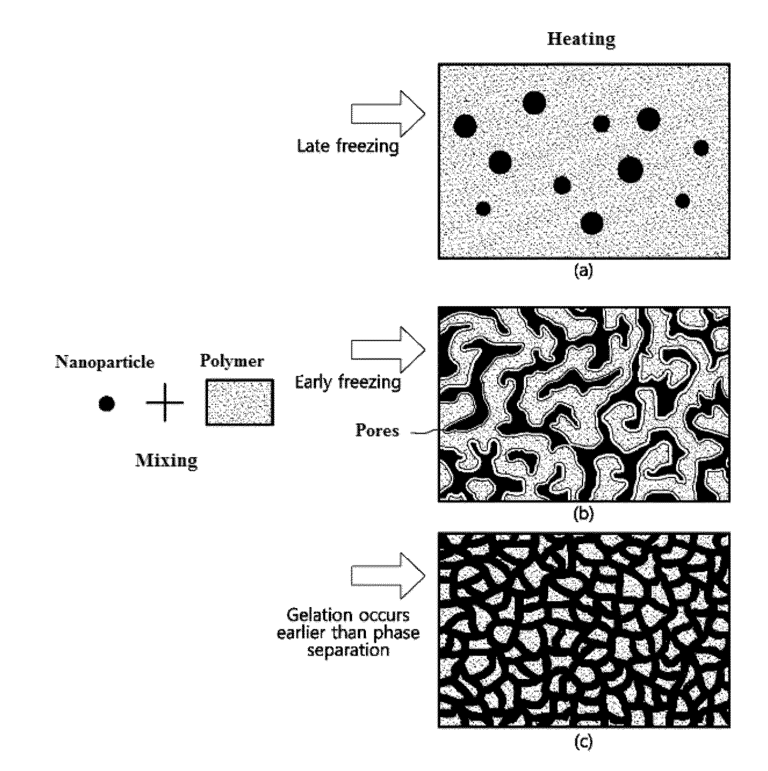 Porous polymer membrane with covalent network structure and production method thereof