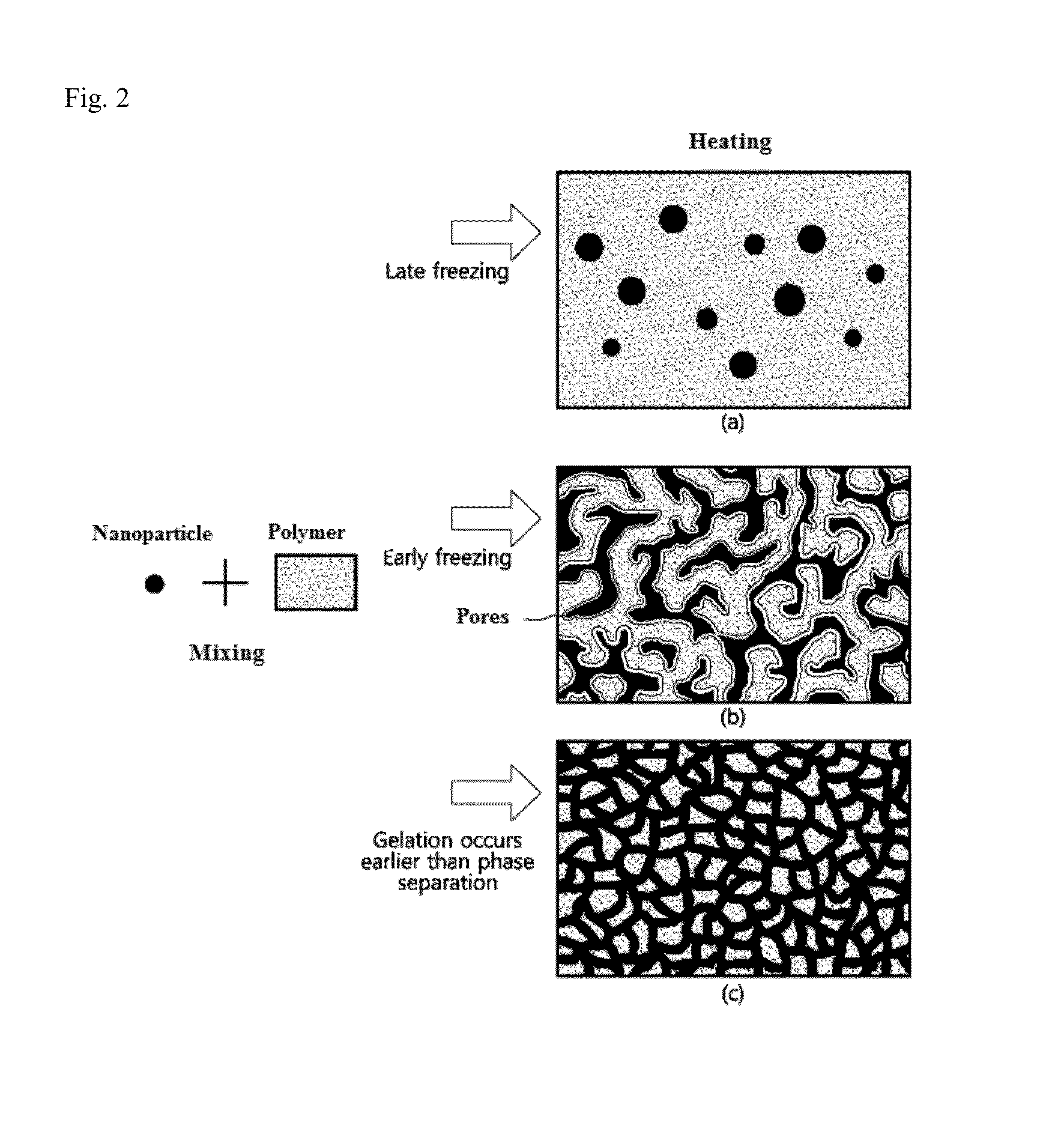 Porous polymer membrane with covalent network structure and production method thereof