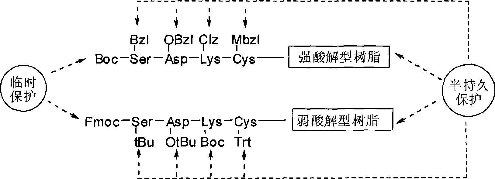 Technology for solid phase synthesis of peptide by WANG strategy