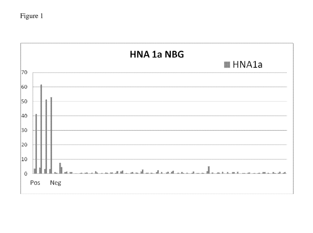 Modified Fc Gamma Receptor Type III (FcgammaIII, HNA-1) Polypeptides and The Uses Thereof