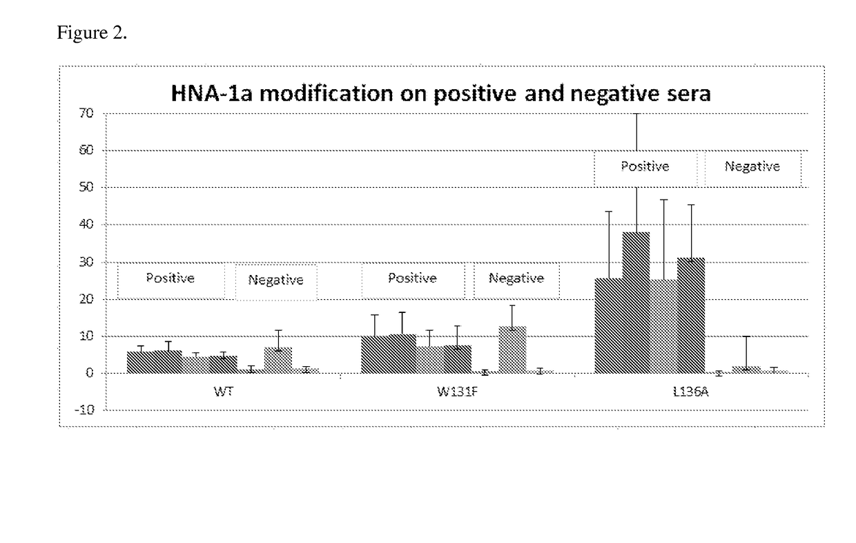 Modified Fc Gamma Receptor Type III (FcgammaIII, HNA-1) Polypeptides and The Uses Thereof