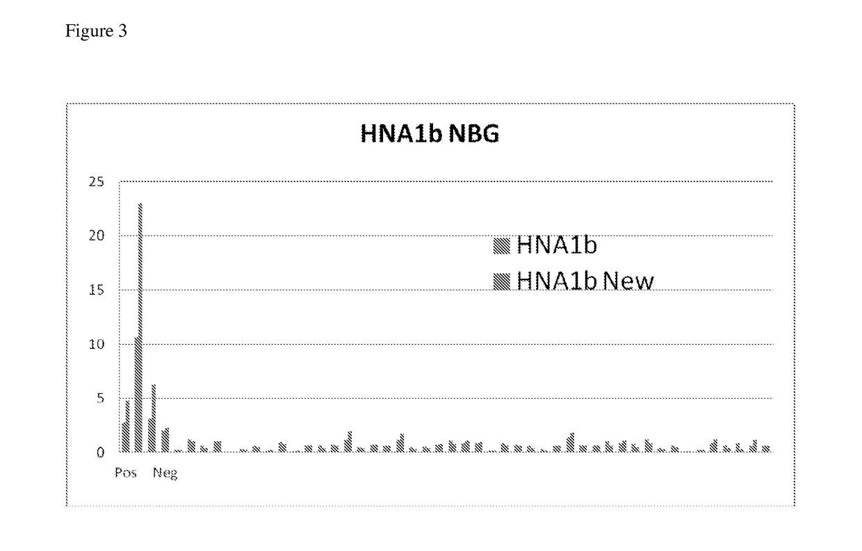 Modified Fc Gamma Receptor Type III (FcgammaIII, HNA-1) Polypeptides and The Uses Thereof