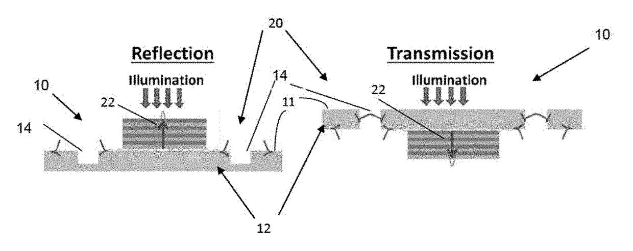 Plasmonic lens having a surface pattern providing linear-polarization-independent plasmonic focusing and circular polarization dependent plasmonic focusing