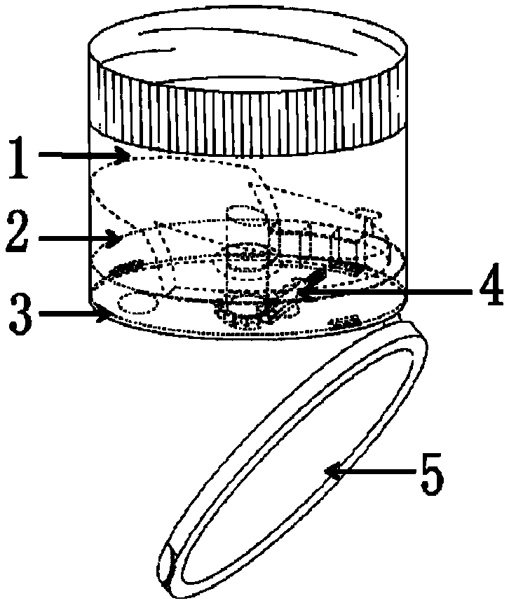 Bottle cap with quantitative object taking-out function