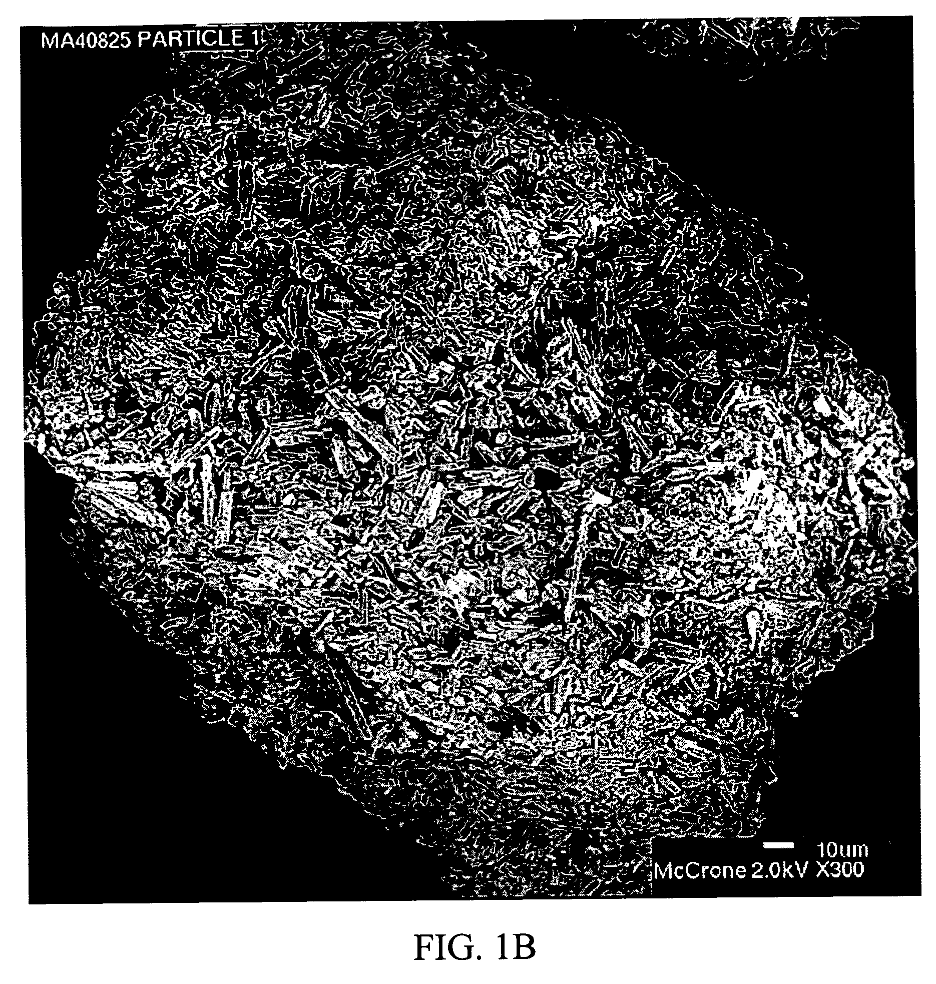 Stabilized individually coated ramipril particles, compositions and methods
