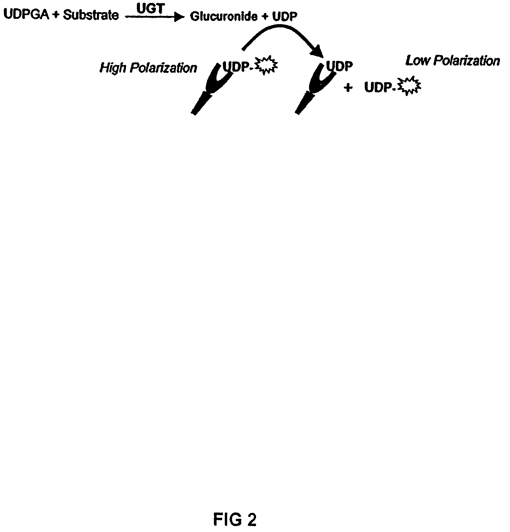 Assay method for group transfer reactions