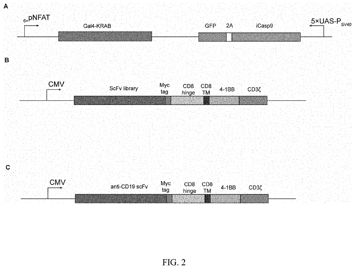 Chimeric antigen receptor cell library carrying gene element combination, prepration and screening method, and use thereof