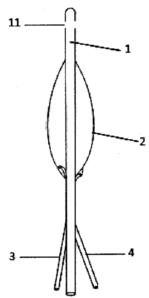 Medicine application device for controlling intrauterine adhesion