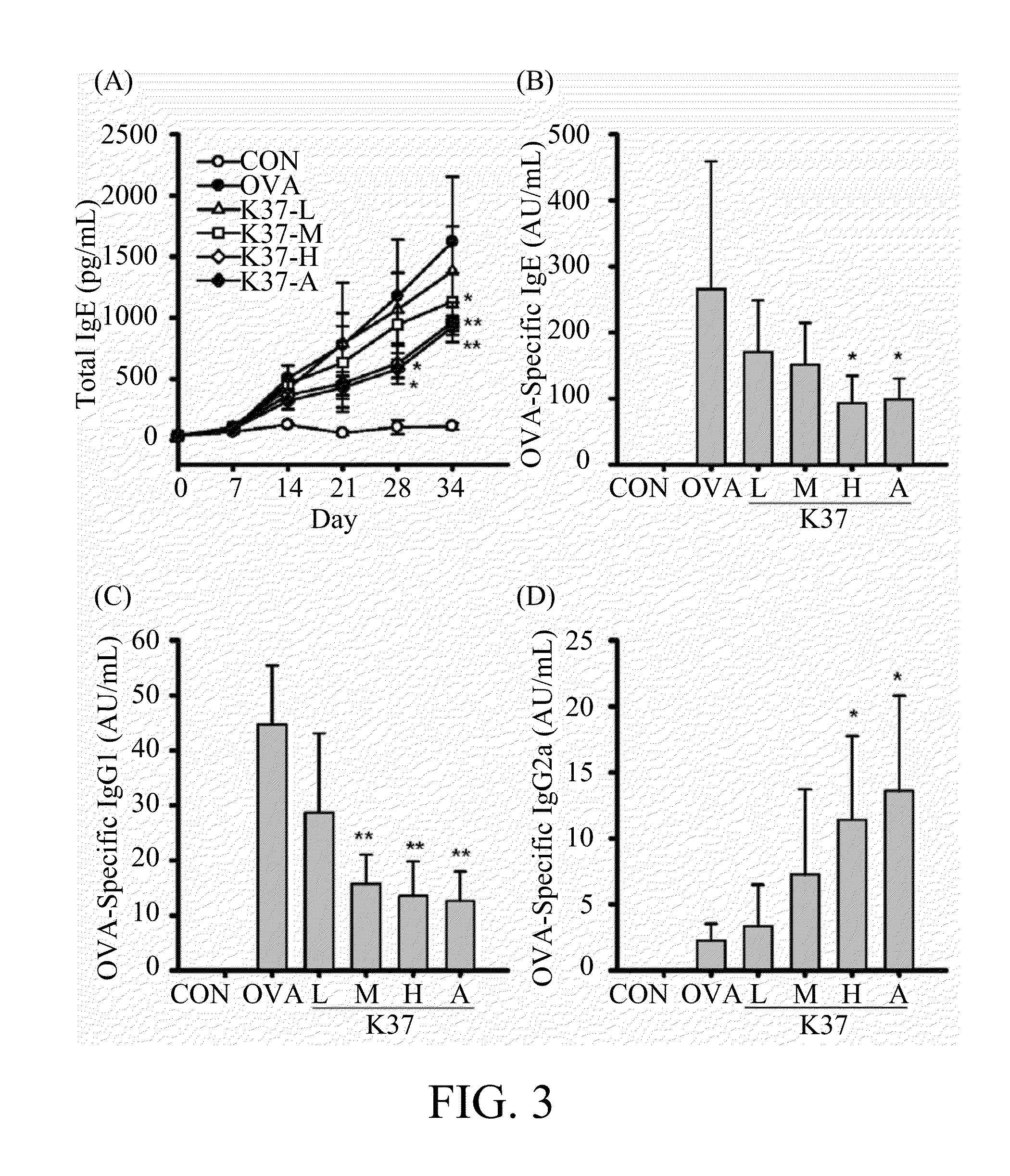Lactic acid bacterium having immunomodulatory and Anti-allergic effects and pharmaceutical composition containing the same