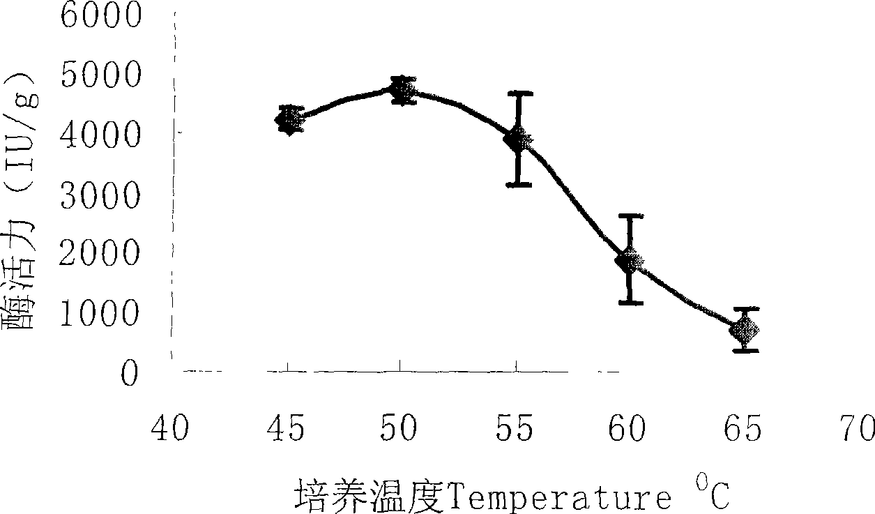 Production method of heat resisting xylanase and use in feed