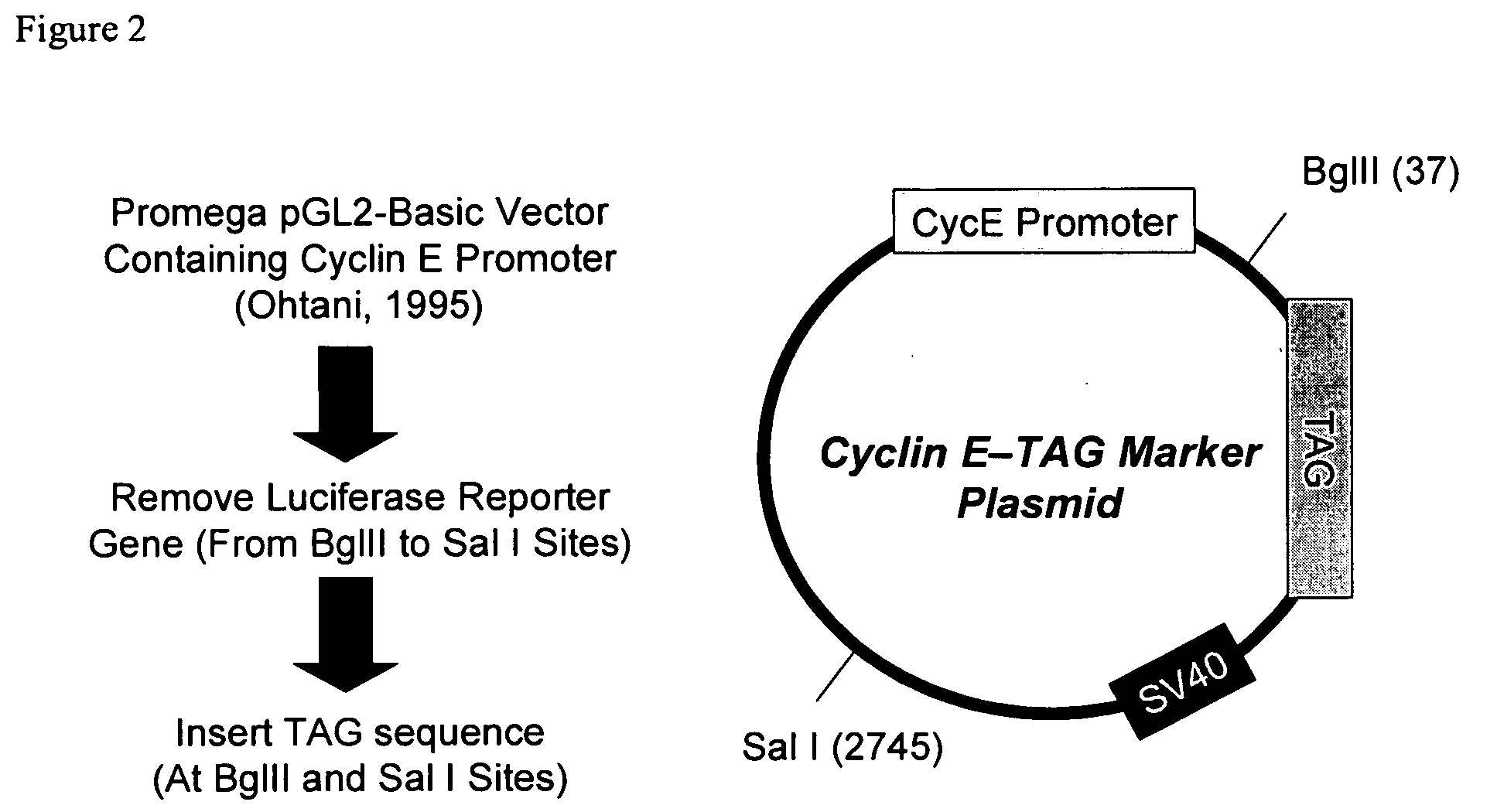 Tag and target delivery system