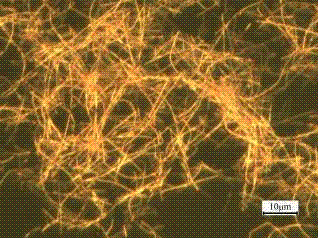 Controllable preparation method of monocrystal copper nanowires