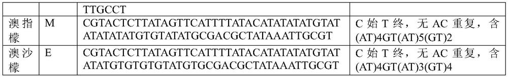 Application of a short DNA sequence in the identification of citrus taxa and citrus seedlings