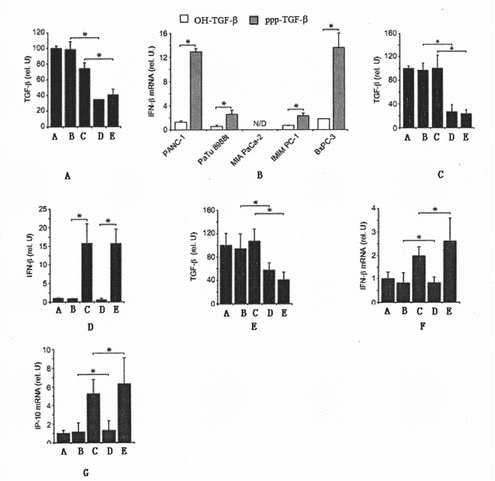 TGF-beta specific siRNA containing free triphosphoric acid group and application thereof