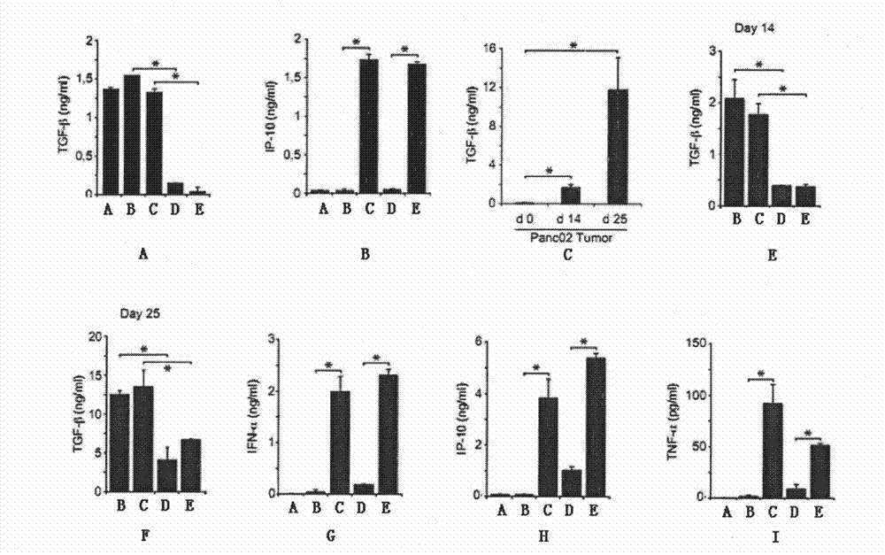 TGF-beta specific siRNA containing free triphosphoric acid group and application thereof