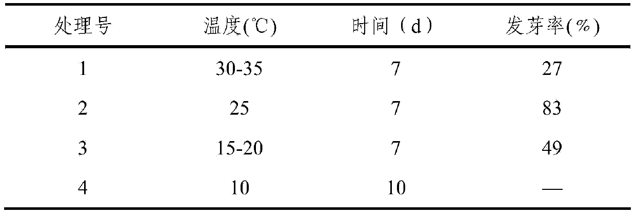 Film mulching planting method for limonium aureum