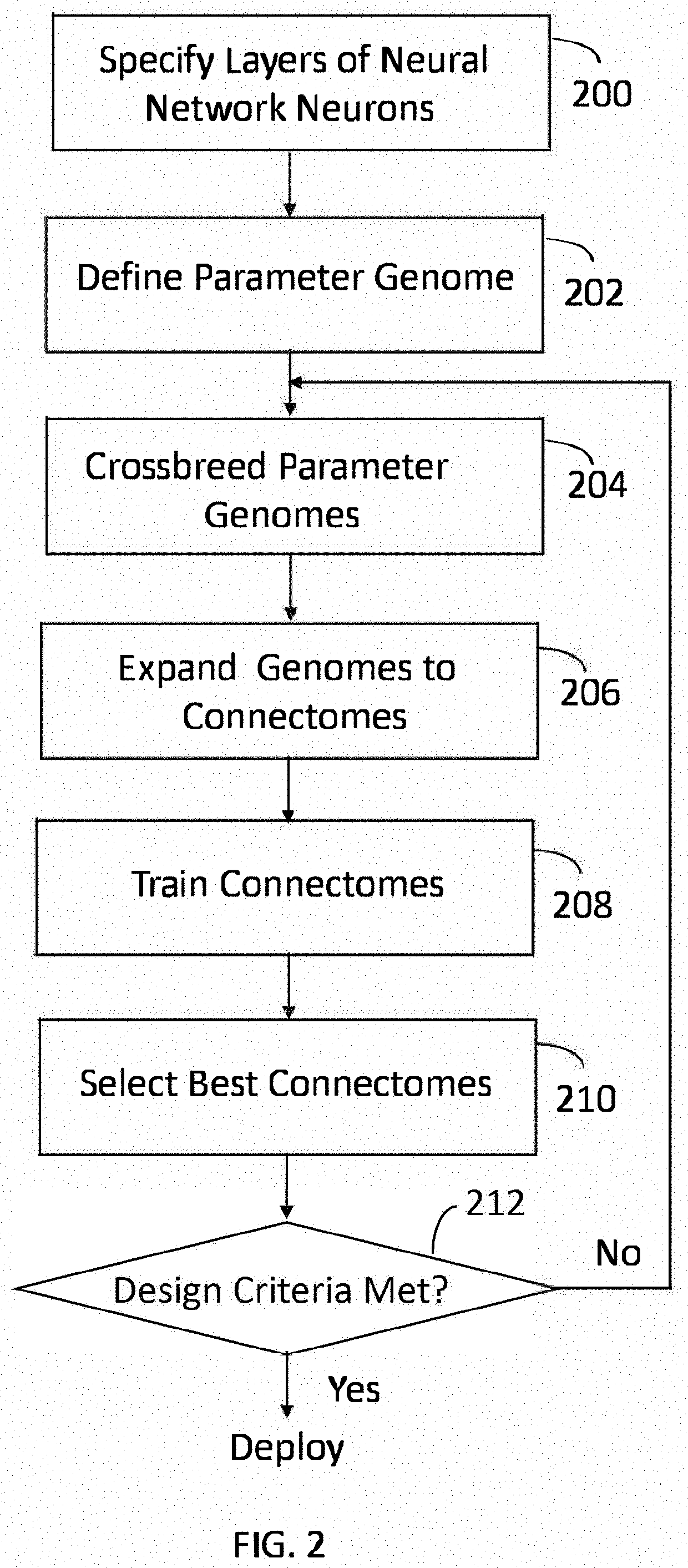 Apparatus and method for utilizing a parameter genome characterizing neural network connections as a building block to construct a neural network with feedforward and feedback paths