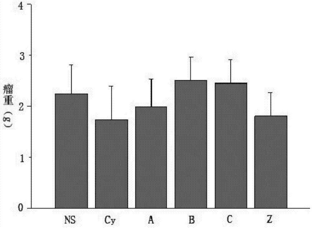 Cultivation method and application of cordyceps militaris