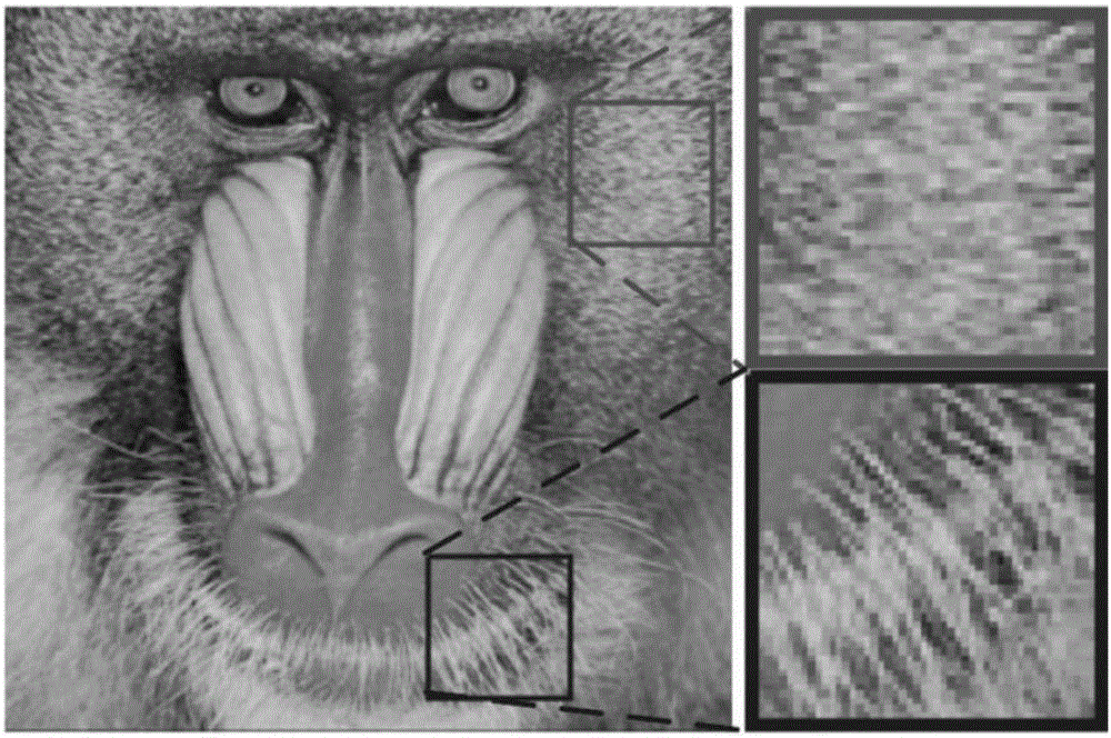 Color imaging system based on extended wavelet tree and color imaging method thereof