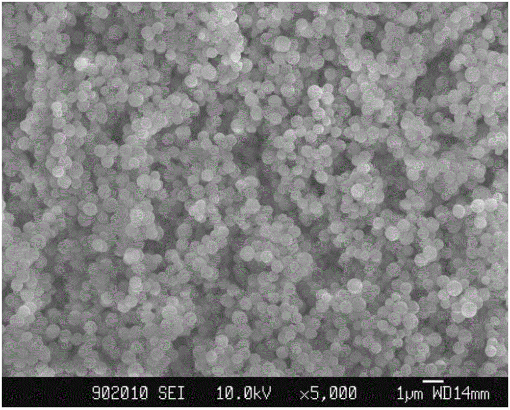 Epoxy group cross-linked microsphere, and preparation method and application thereof