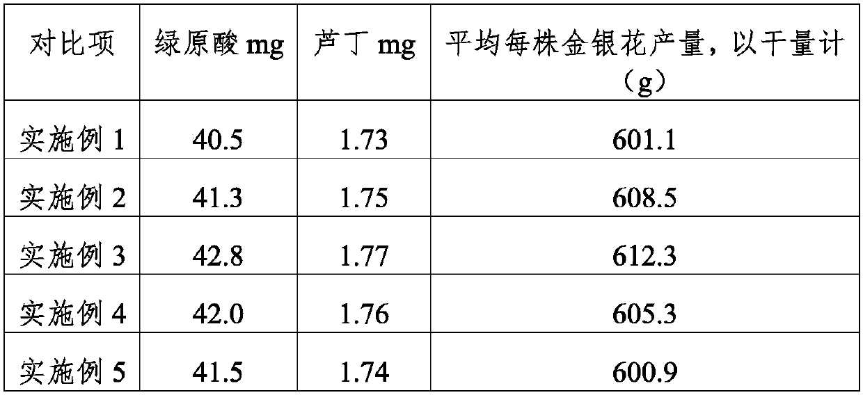 A kind of cultivation method of honeysuckle