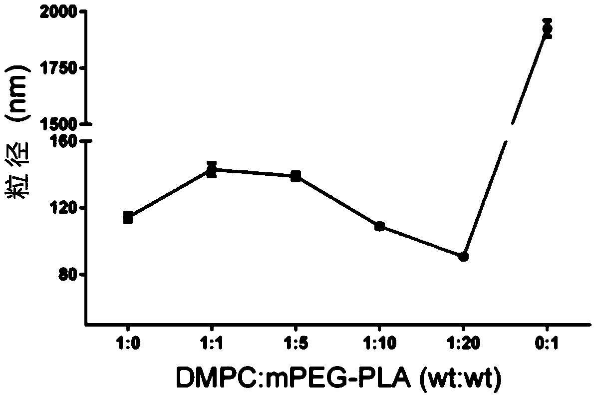 AST (astaxanthin)-supported phospholipid nanoparticles as well as preparation method and application thereof