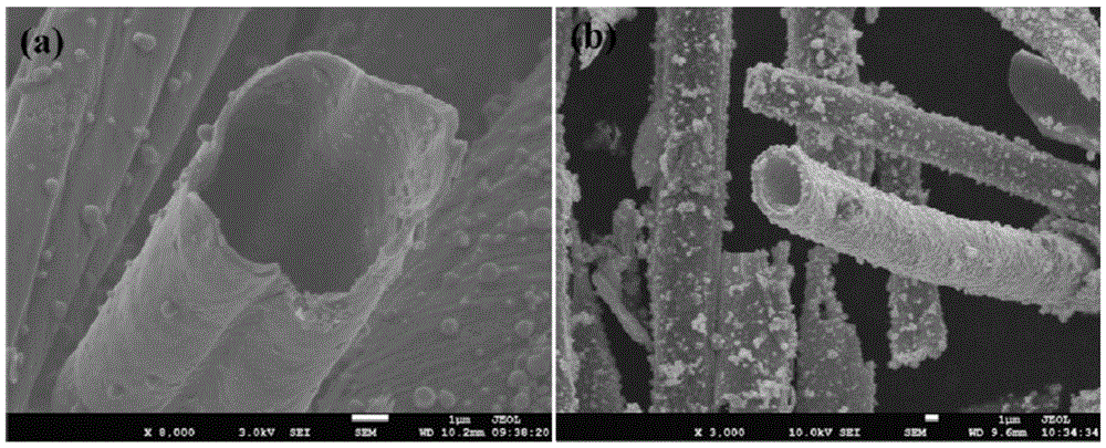 Preparation method for biomass-based hollow carbon microtube/Ni-Co metal sulfide composite electrode material