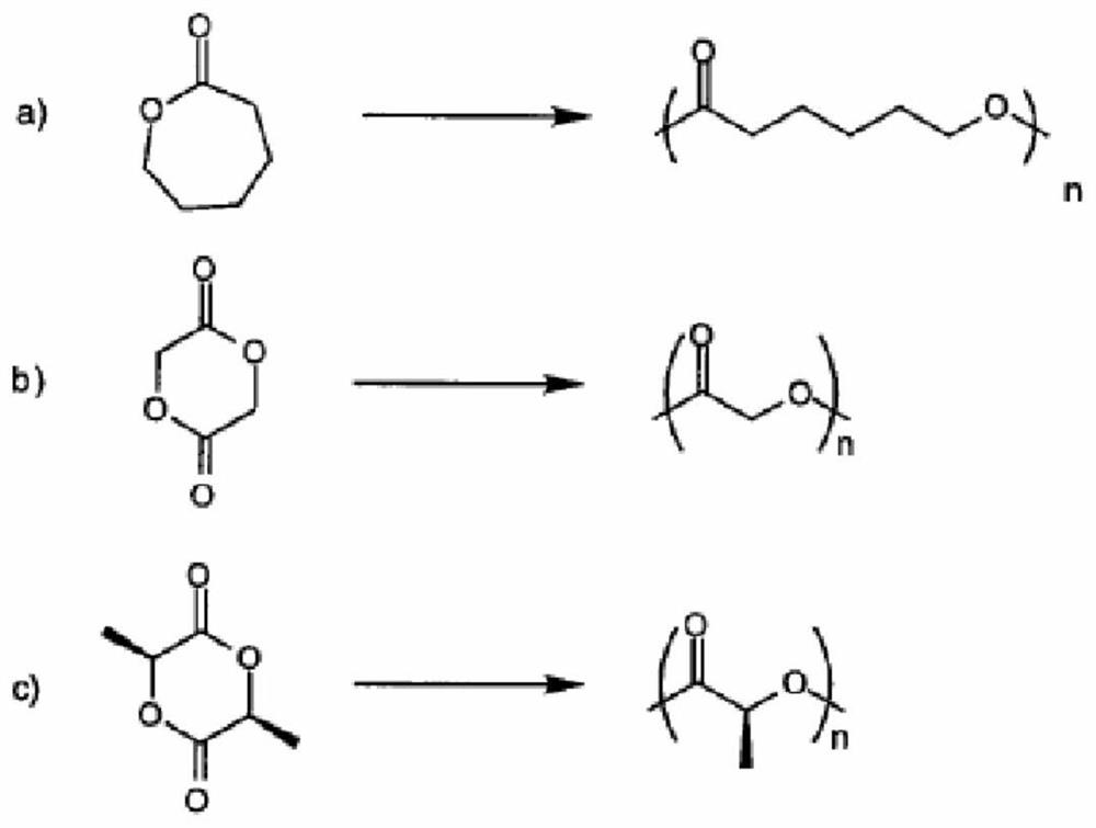 Bicyclic lactone polymer and its preparation and application