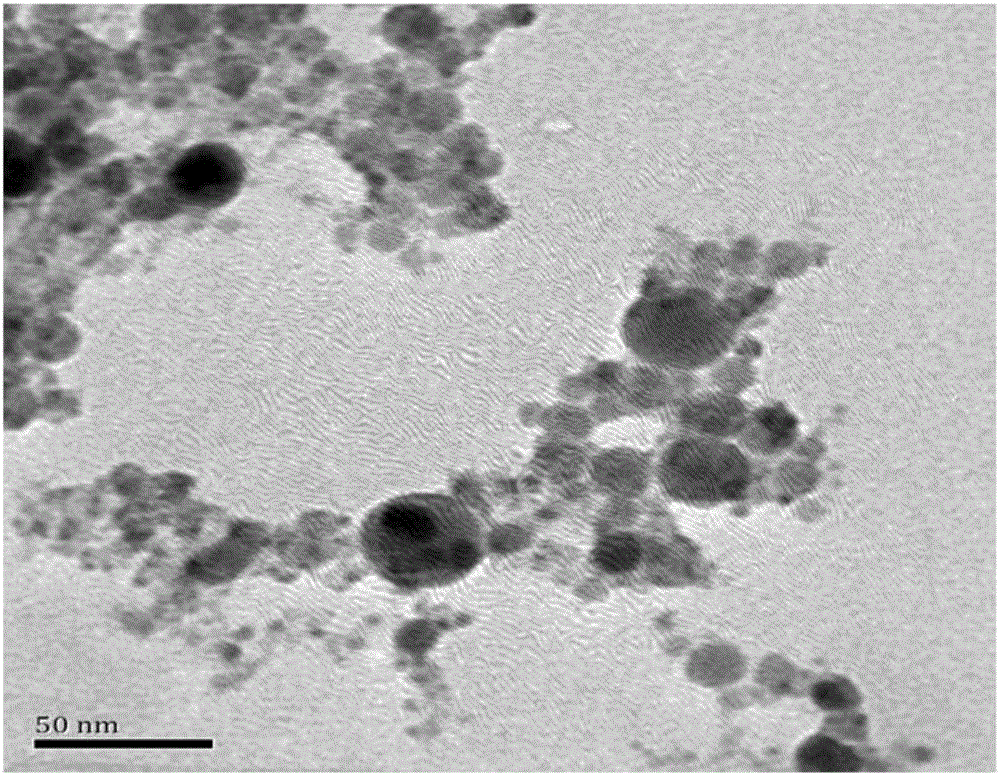 Preparation method of silver-carrying titanium dioxide nanocomposite photocatalyst