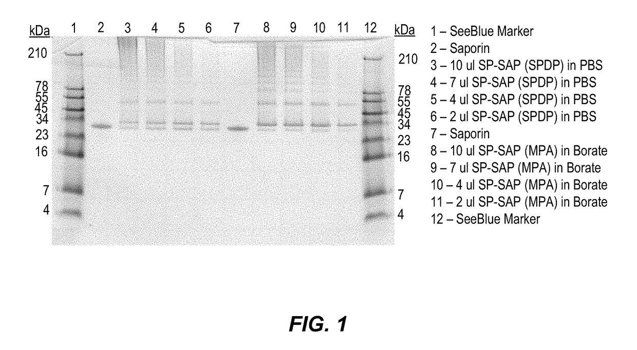 Non-Cleavable Substance P Conjugates and Methods of Use Thereof