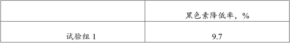 Composition with skin whitening and brightening effect and skin-care product containing same