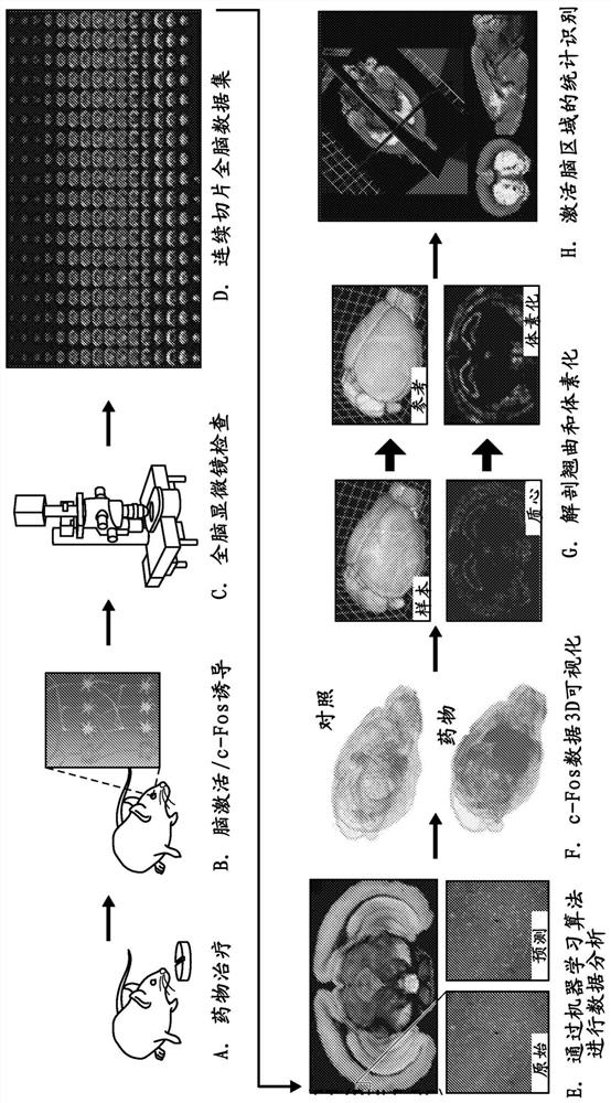 Combination of gaboxadol and lithium for treatment of psychiatric disorders