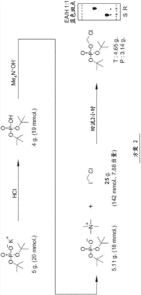 Methods of bladder cancer treatment with ciclopirox, ciclopirox olamine, or a ciclopirox prodrug