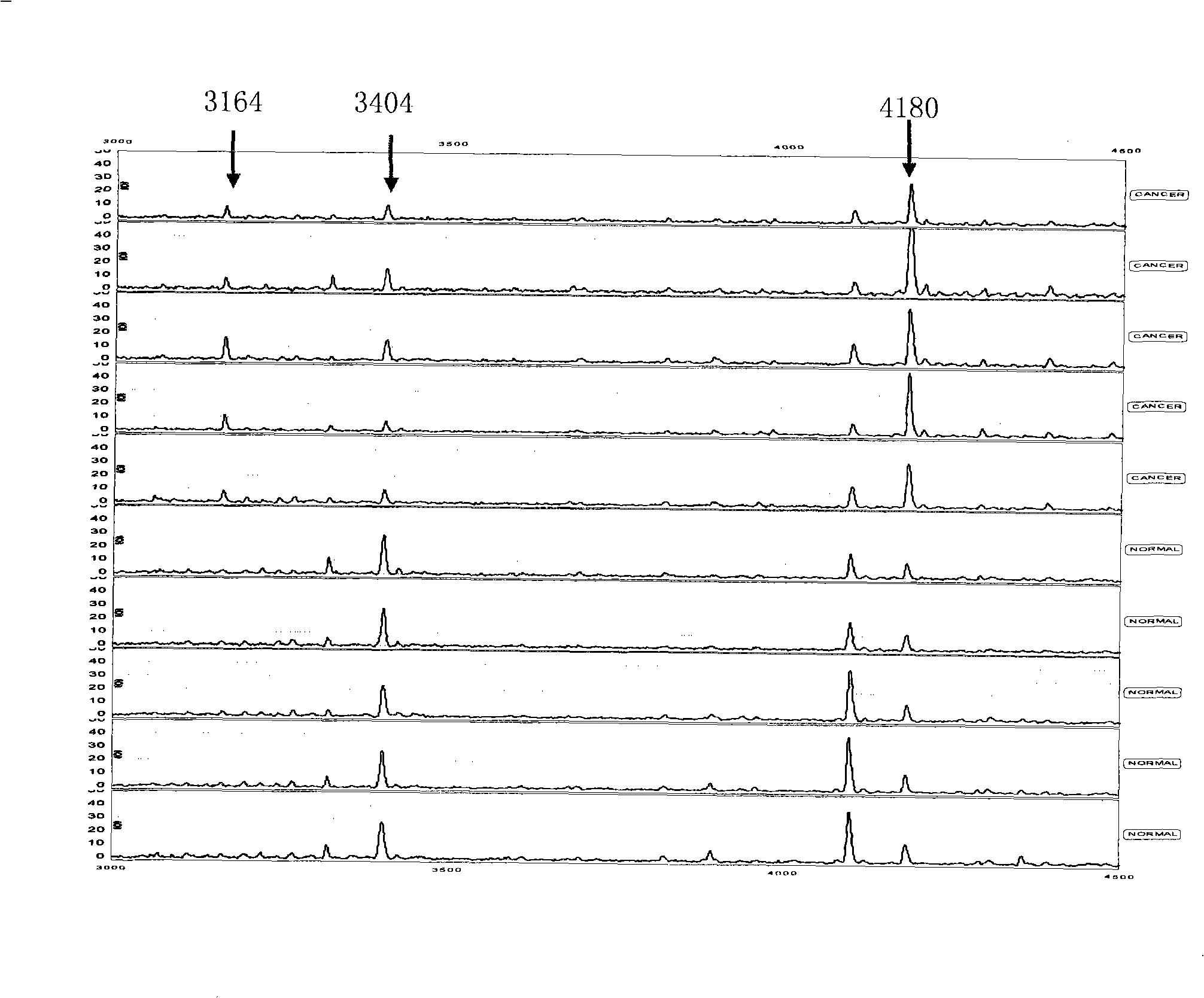 Optimizing mass spectrogram model for detecting breast cancer characteristic protein and preparation method and application thereof