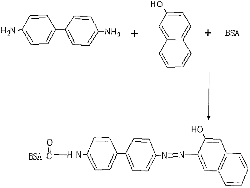 Enzyme-linked immunosorbent assay kit for detecting Sudan red and paranitroaniline red medicaments and application thereof