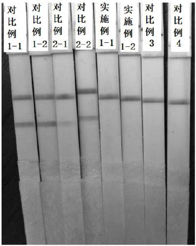 Nucleic acid sequence for isothermal amplification detection of measles virus, kit, detection method and application