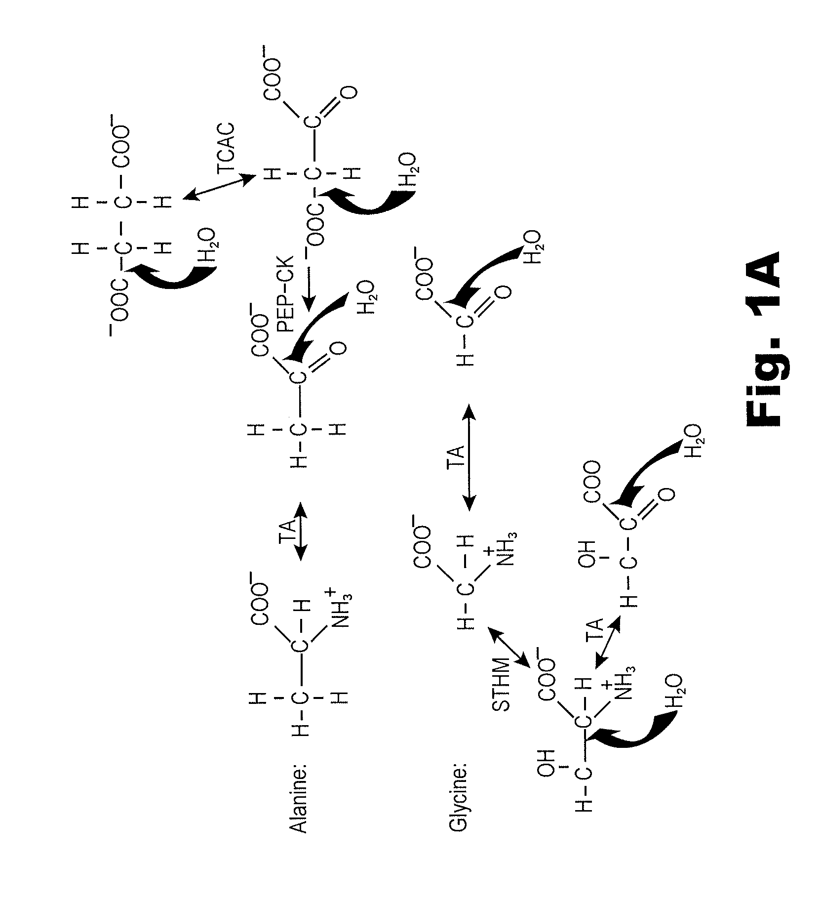 Biomarkers