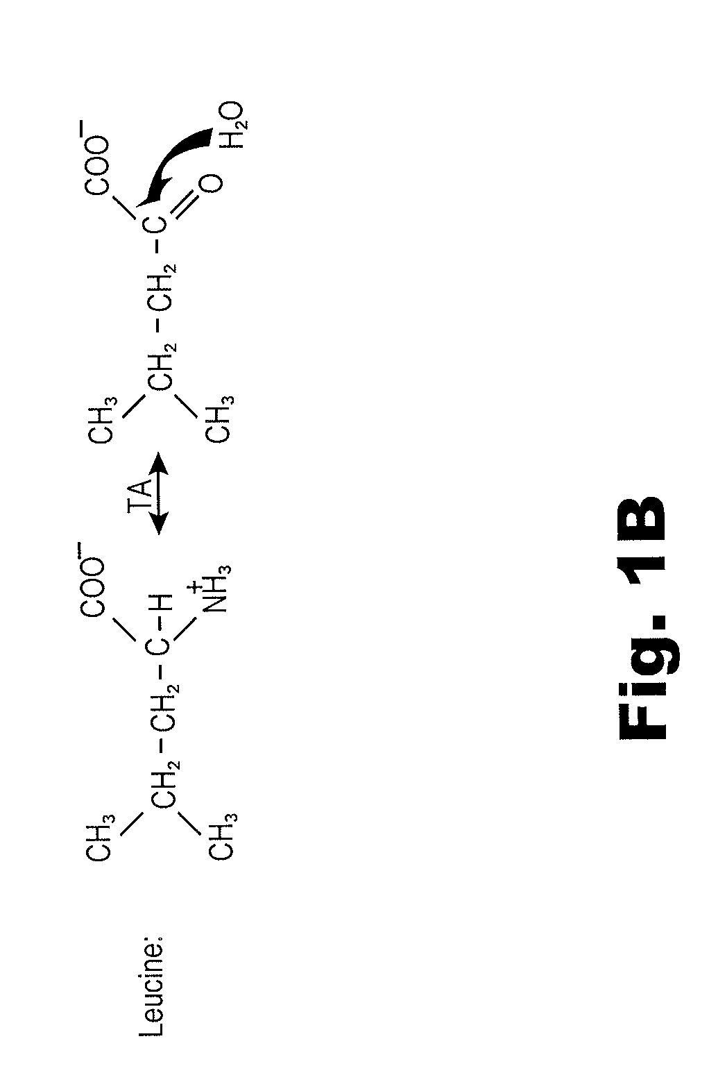 Biomarkers