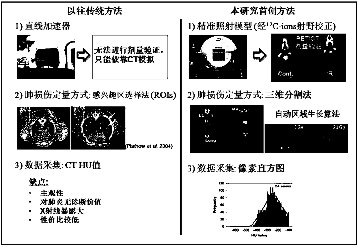 Radiation pneumonitis CT (Computed Tomography) quantitative detection method used for radiobiology experiment
