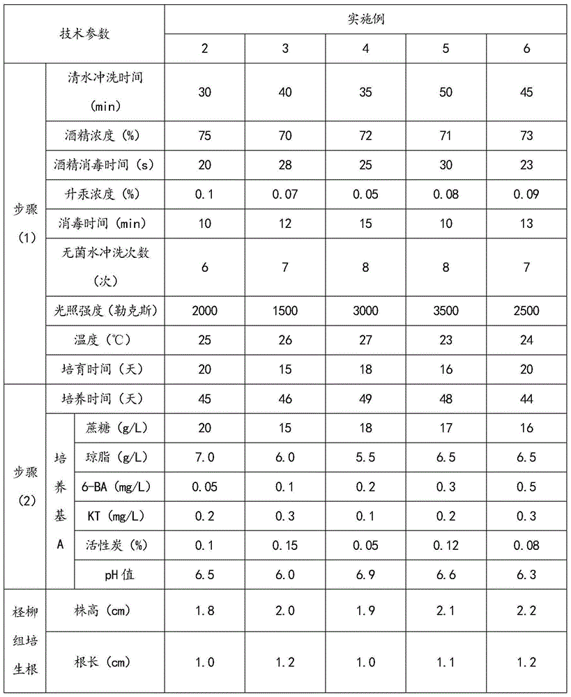 Rooting culture method for tamarix chinensis tissue culture seedlings