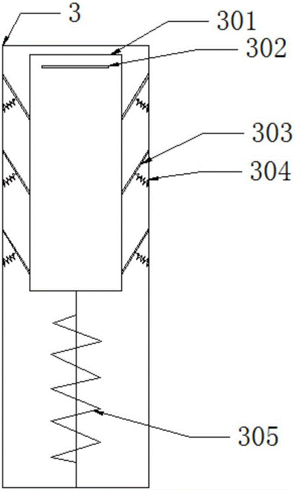 Kit having recording function and used for detecting poppy capsules