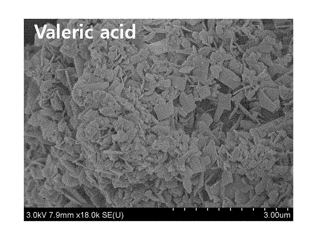 Organic zinc catalyst, and manufacturing method thereof and manufacturing method of polyalkylene carbonate resin using the same (as amended)