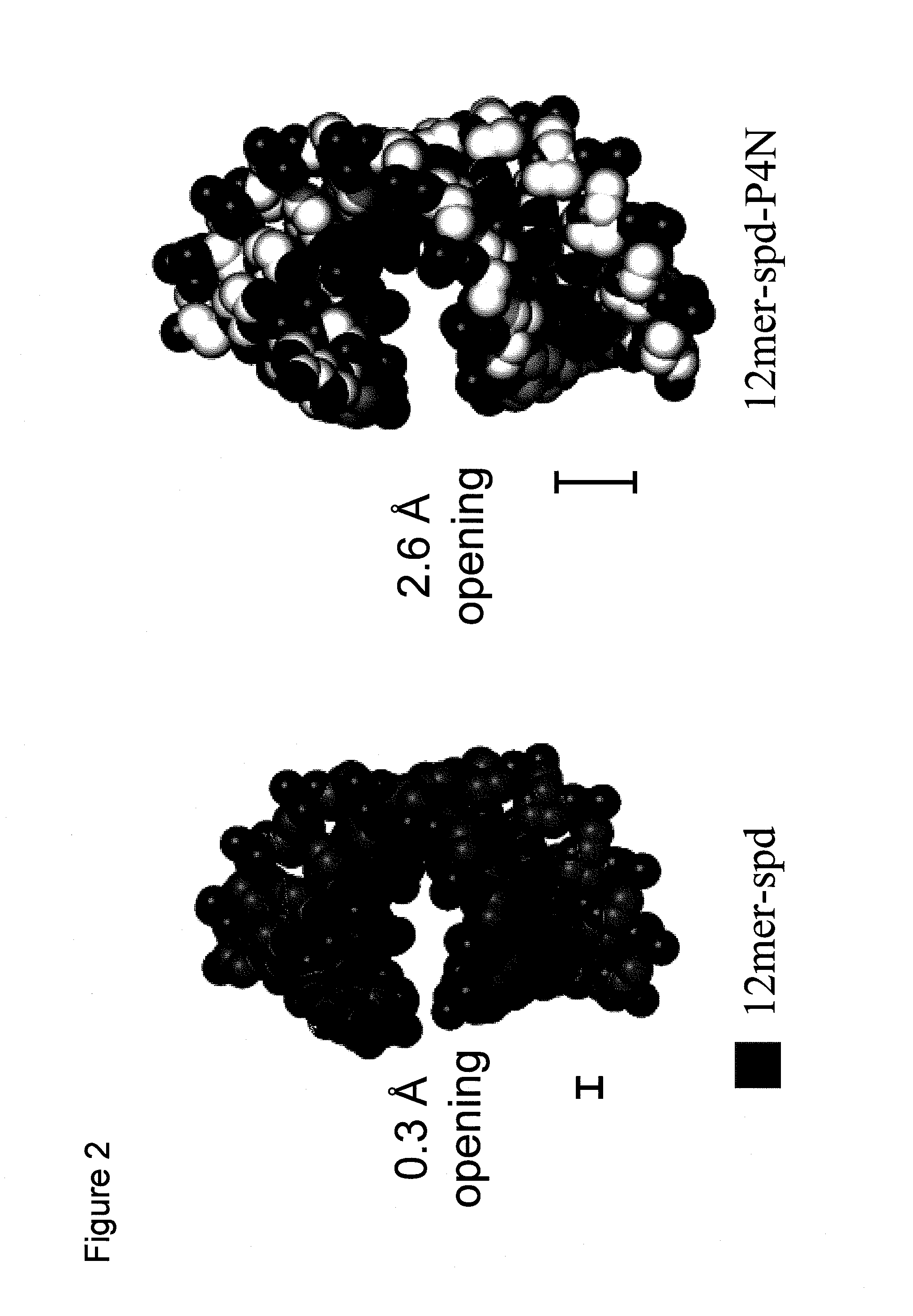 Heterocyclic and carbonate derivatives of NDGA and their use as new anti-HIV and anti-cancer agents