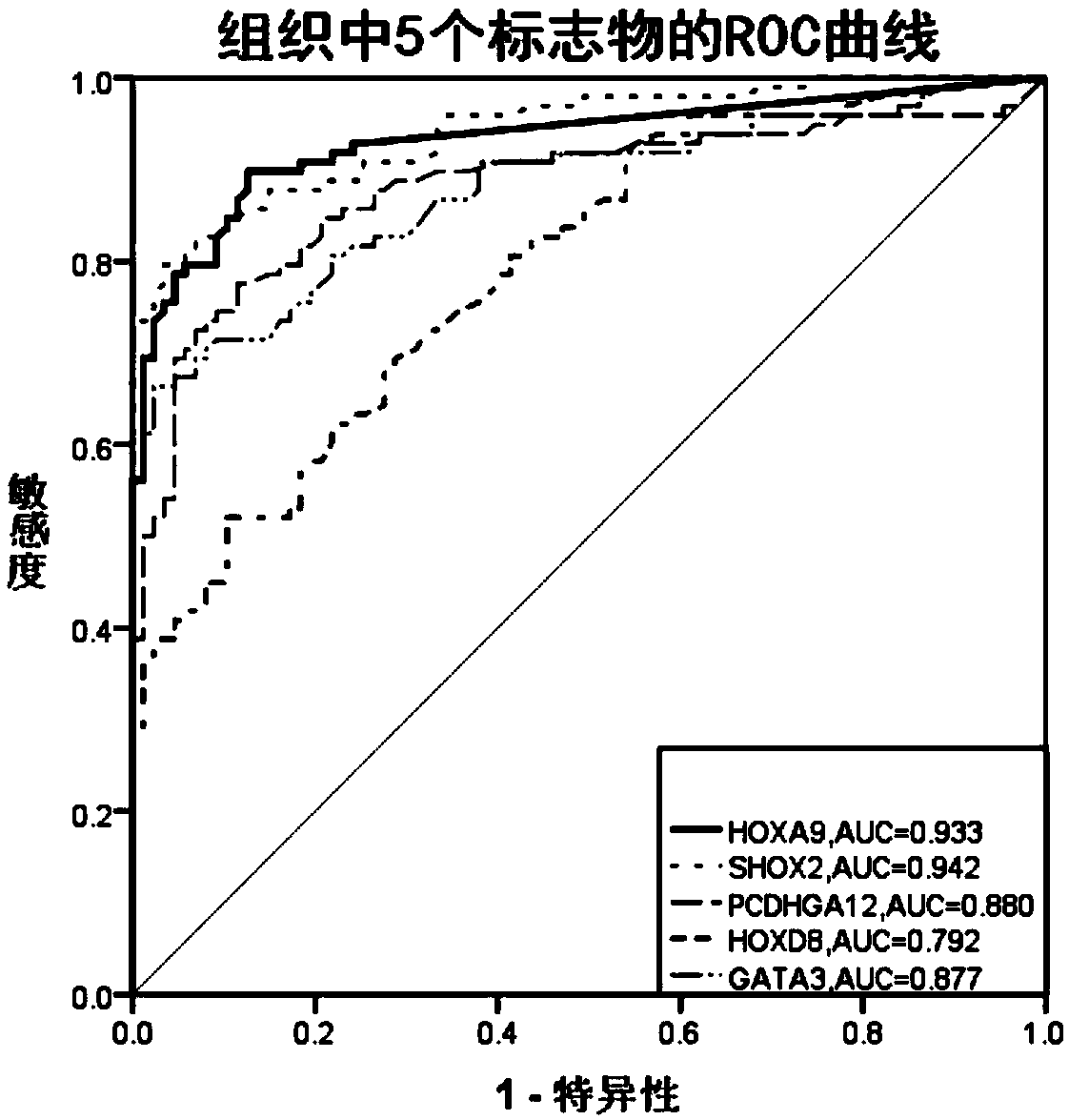 Purpose of HOXA9 methylation detection reagent in preparation of lung cancer diagnosis reagent