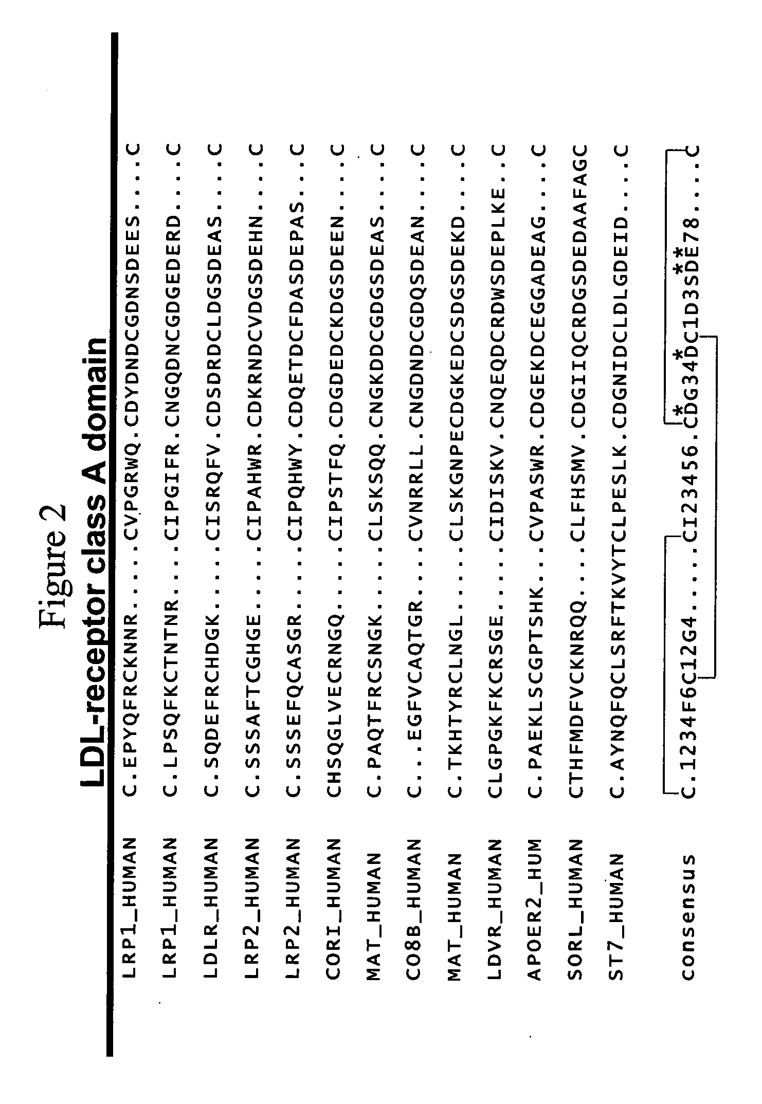 Combinatorial libraries of monomer domains